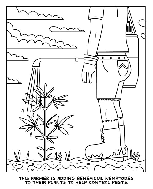 A Visit to the Cannabis Farm Coloring Book