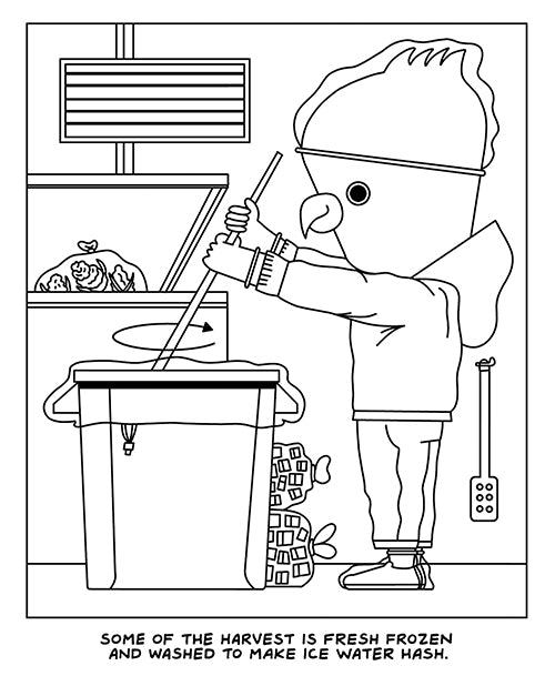 A Visit to the Cannabis Farm Coloring Book